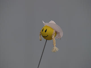 Cowgirl antenna topper