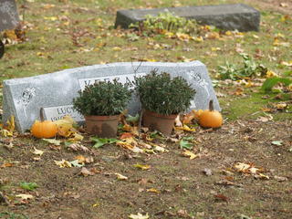 Grave with pumpkins