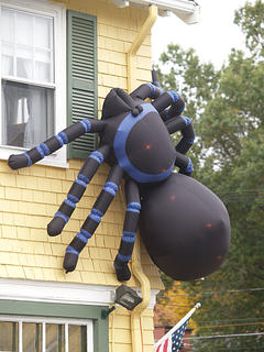 Hello pest control?  We have a bit of a spider problem....