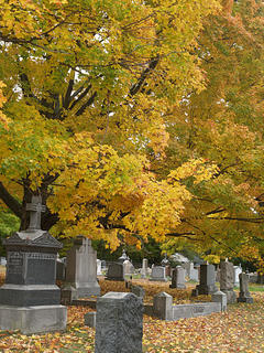 Fall graveyard