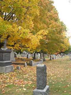 Fall graveyard #2