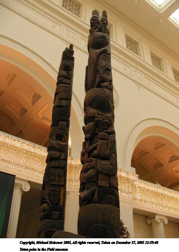 Totem poles in the Field museum