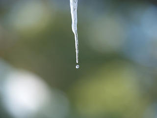 Drop of water from an icicle