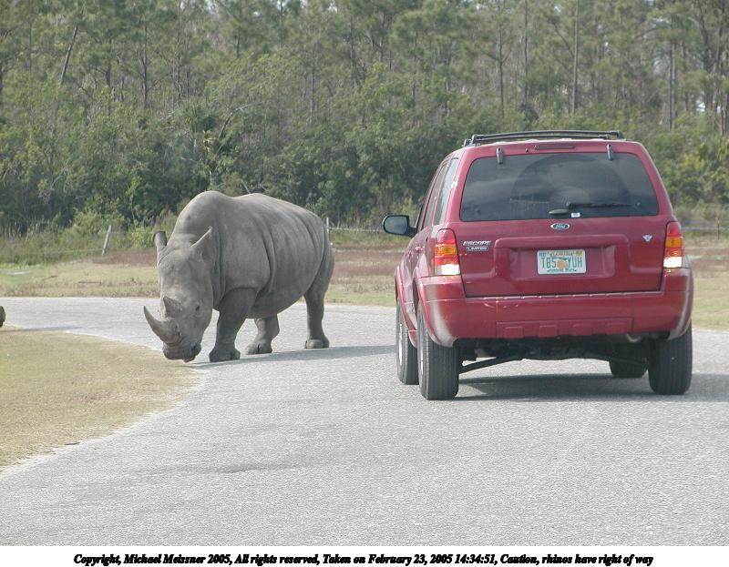Caution, rhinos have right of way #2