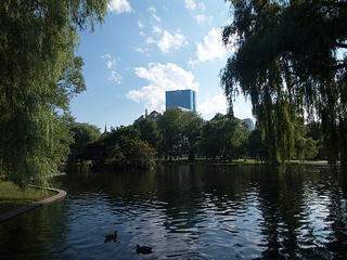 Boston garden duck pond
