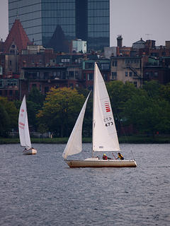 Charles river sailboats #2