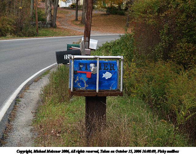 Fishy mailbox