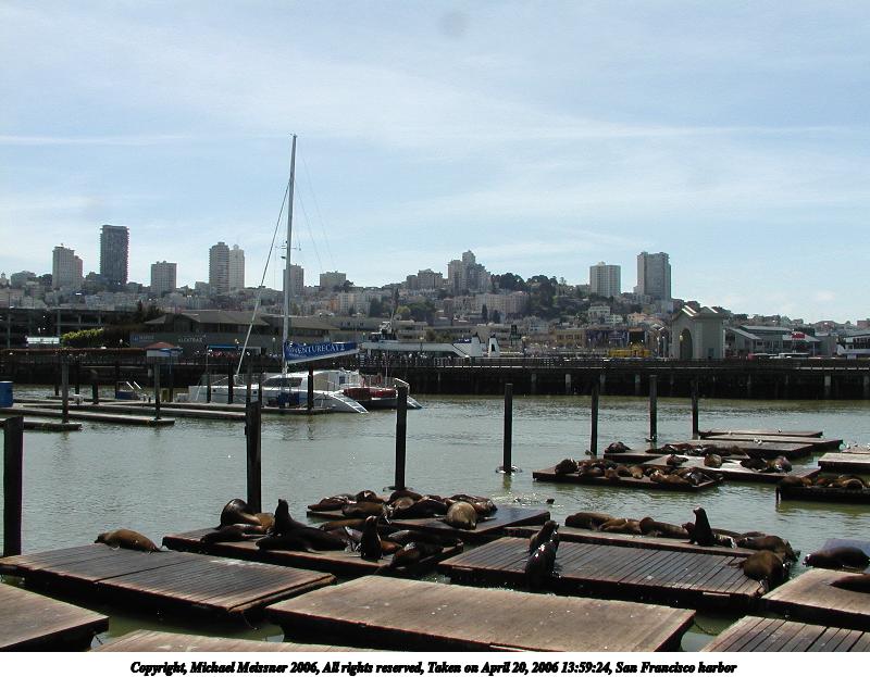 San Francisco harbor