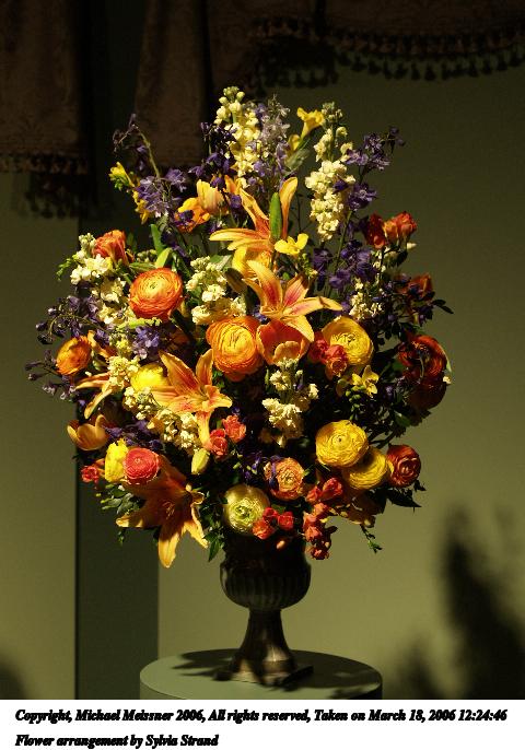 Flower arrangement by Sylvia Strand