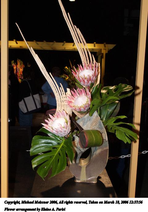 Flower arrangement by Elaine A. Parisi