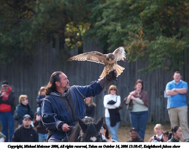 Knighthawk falcon show #3