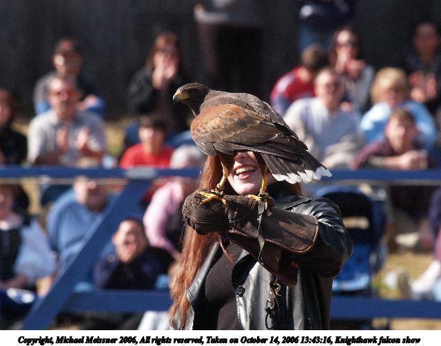 Knighthawk falcon show #11