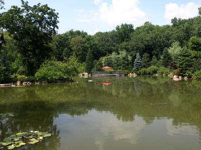 Peacefull pond