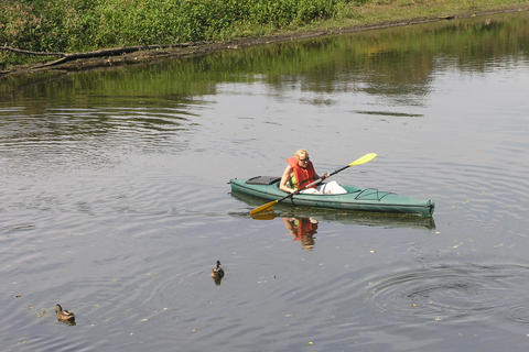 Ducks and canoe
