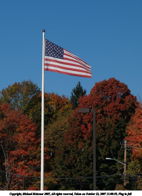 Flag in fall