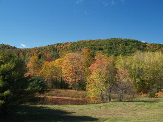 New Hampshire fall #2