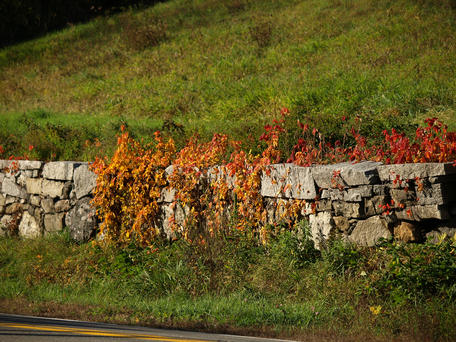 Leaves and stone walls