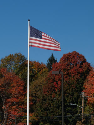 Flag in fall