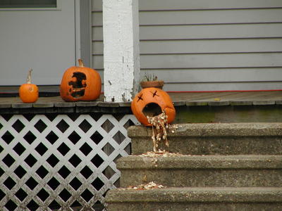 The dysfunctional pumpkin family #5