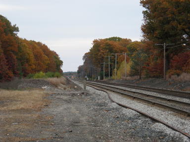 Railroad tracks in fall