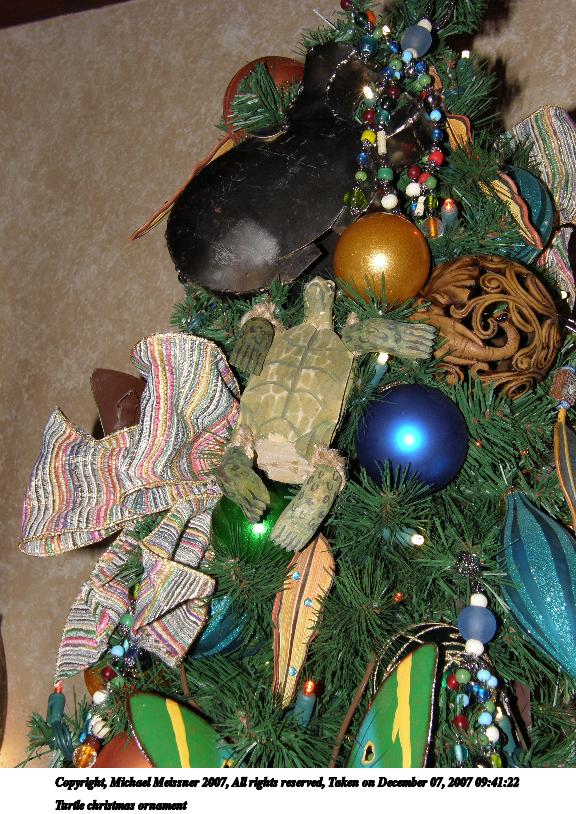 Turtle christmas ornament