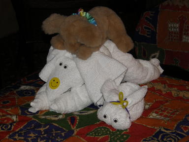 Natalia and the towel animals