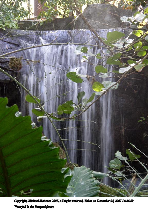 Waterfall in the Pangani forest