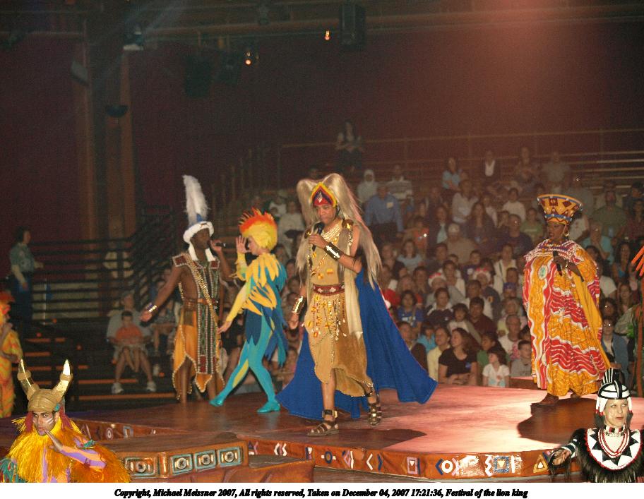 Festival of the lion king #8