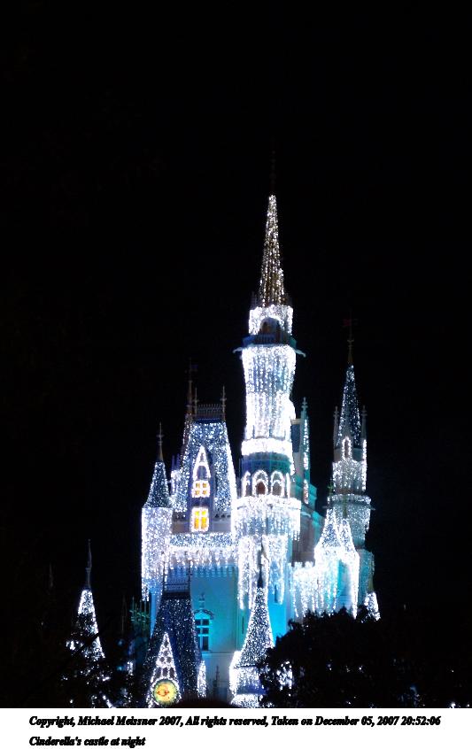 Cinderella's castle at night #4