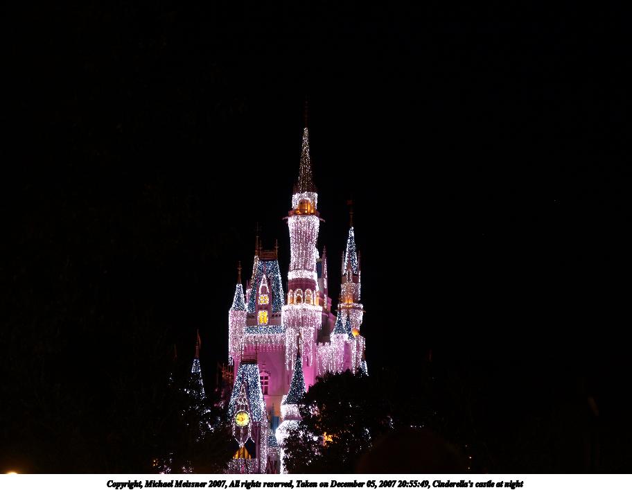 Cinderella's castle at night #5