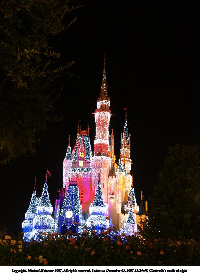 Cinderella's castle at night #11