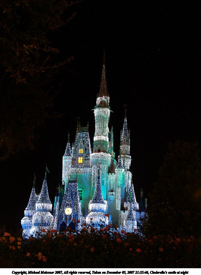Cinderella's castle at night #12
