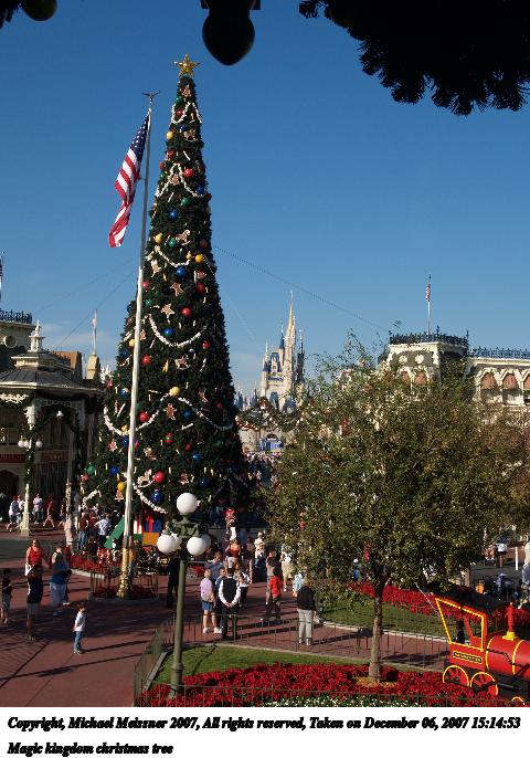 Magic kingdom christmas tree