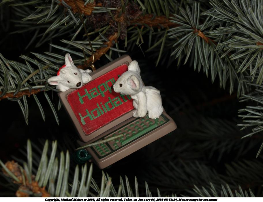 Mouse computer ornament