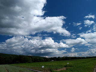 Deerfield clouds #3