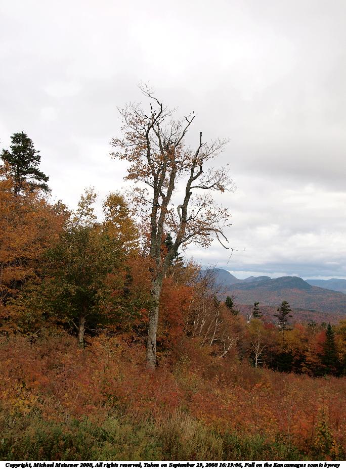Fall on the Kancamagus scenic byway #24