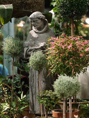 St. Francis of the cactus