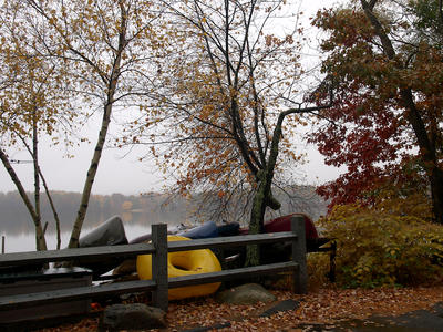 Boats in fall