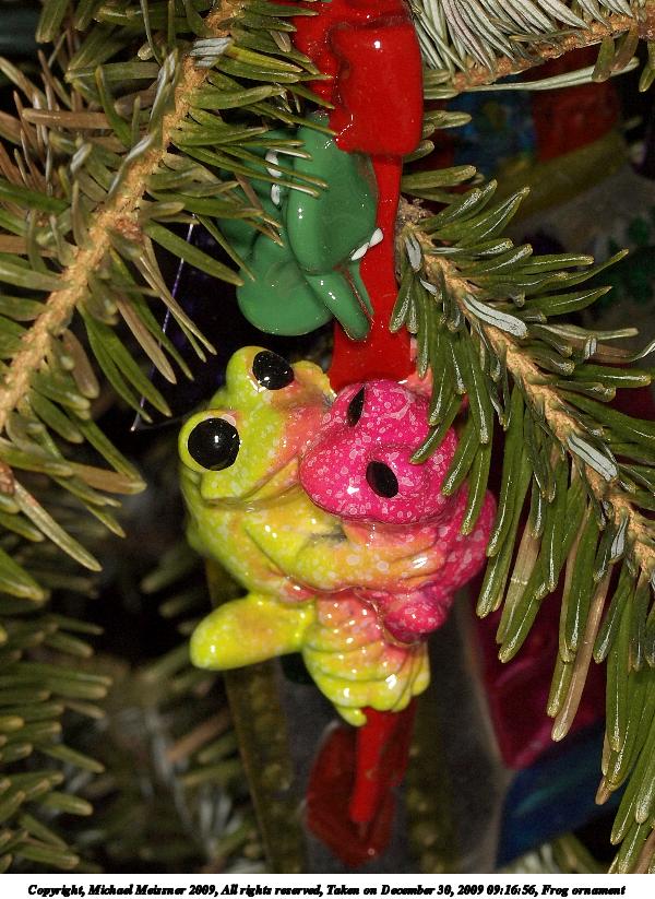 Frog ornament