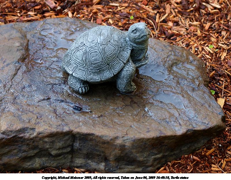 Turtle statue