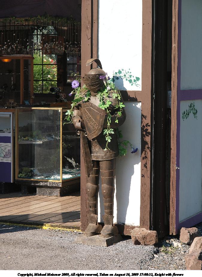 Knight with flowers