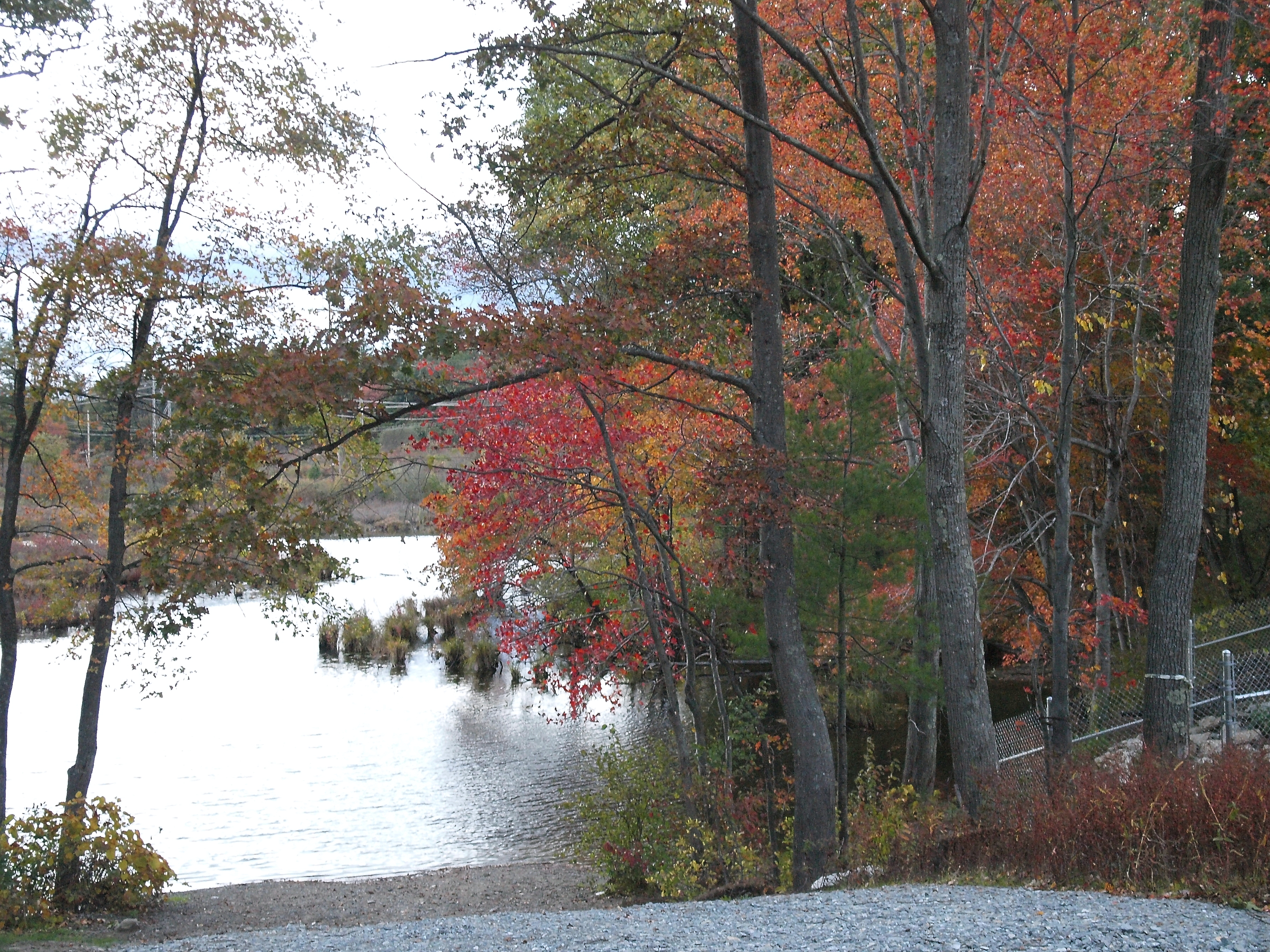 Fall at Spectacle Pond #2
