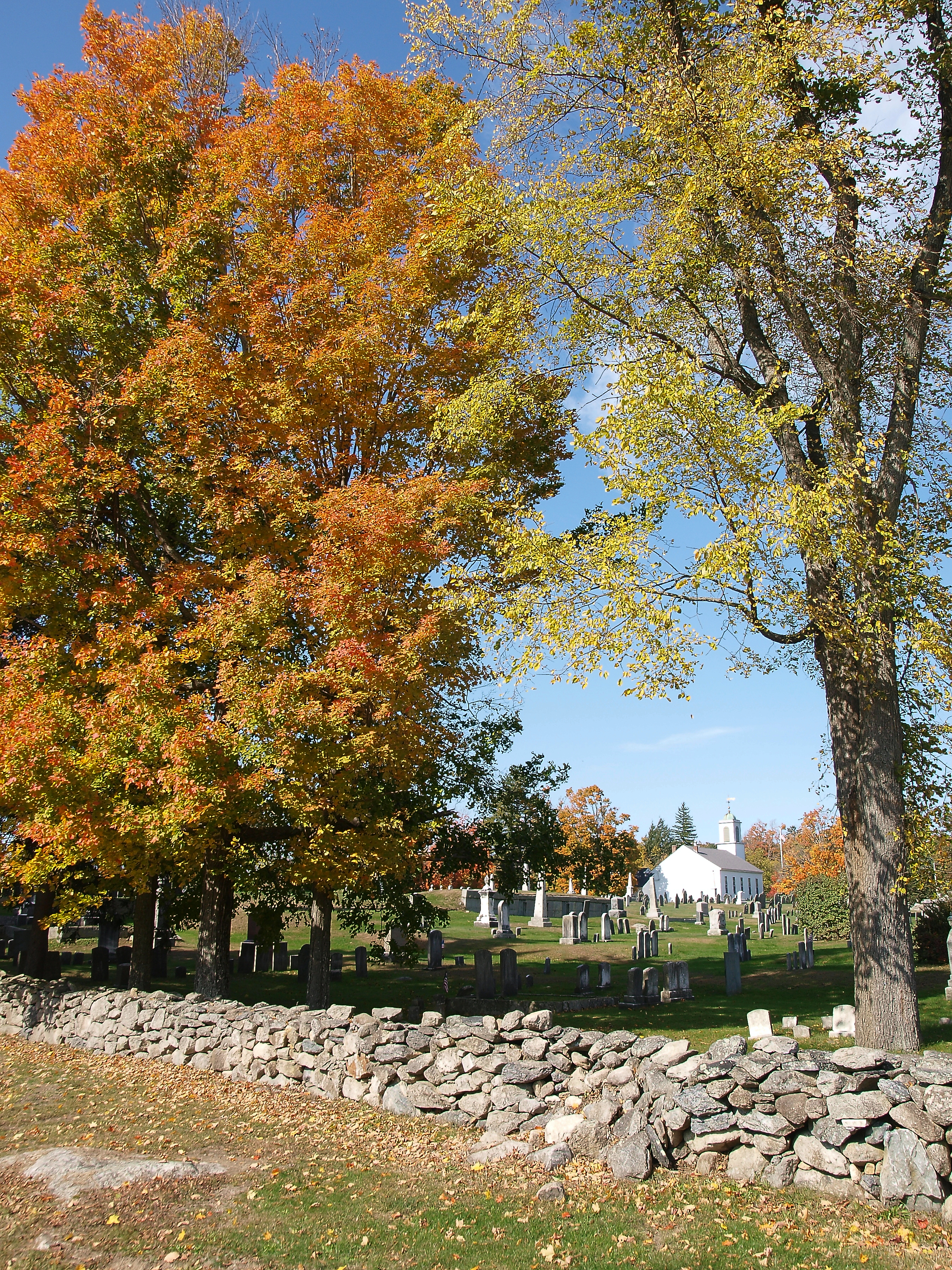 Harvard graveyard in the fall #2