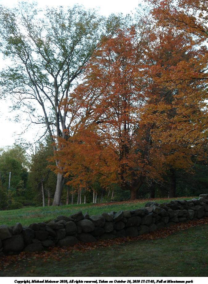 Fall at Minuteman park #4