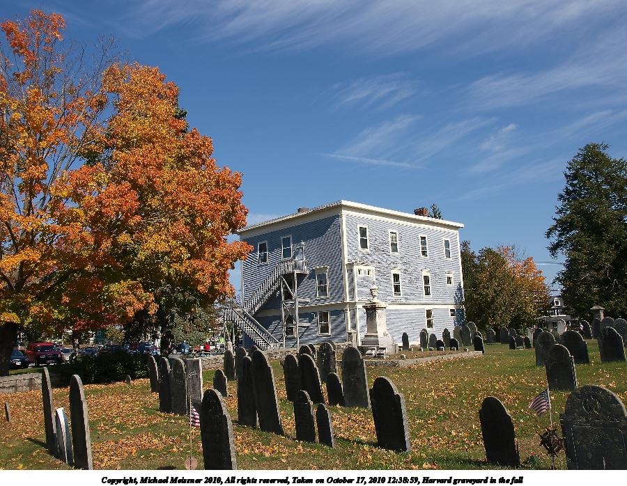 Harvard graveyard in the fall #4