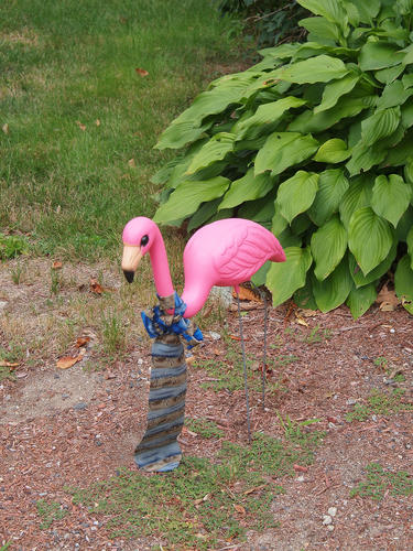 Pink flamingo with tie