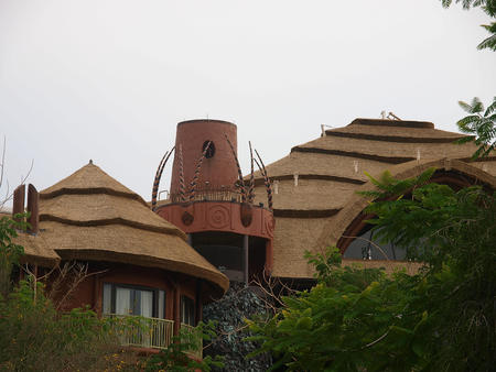 Animal Kindgom Lodge roof