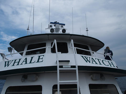 Whale watch ship