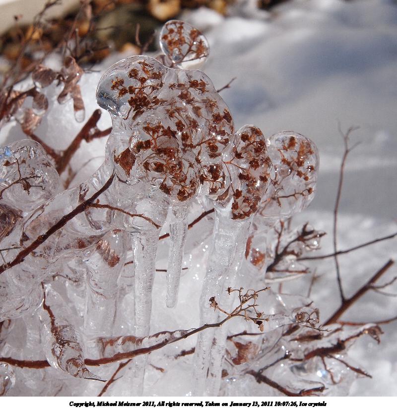 Ice crystals #3