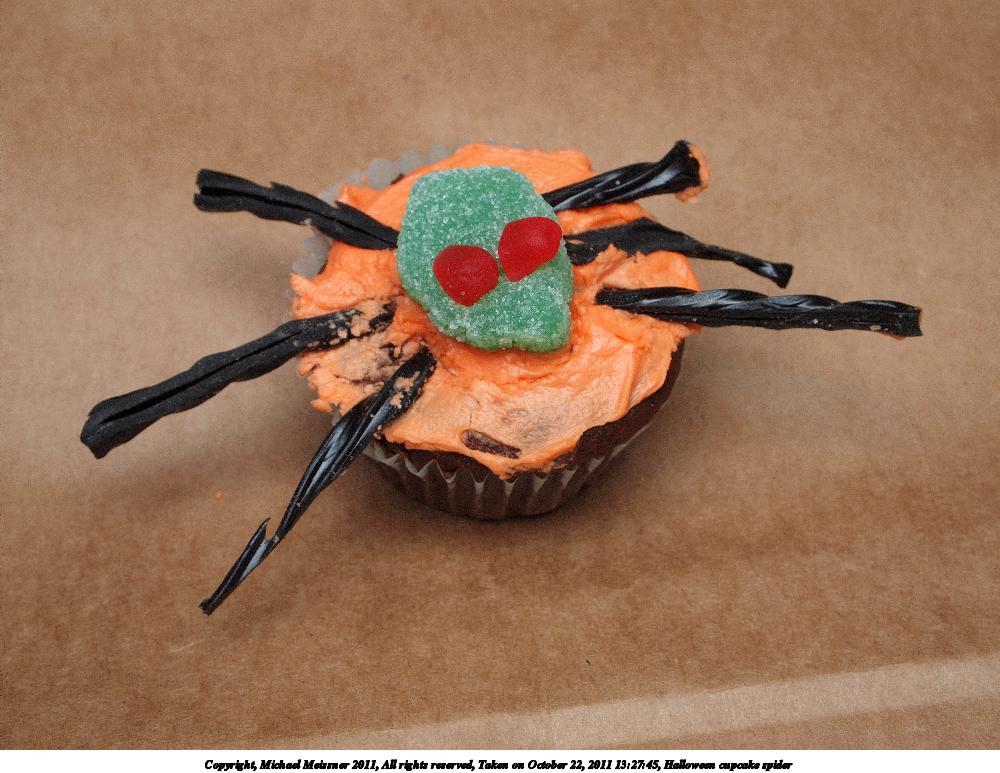 Halloween cupcake spider